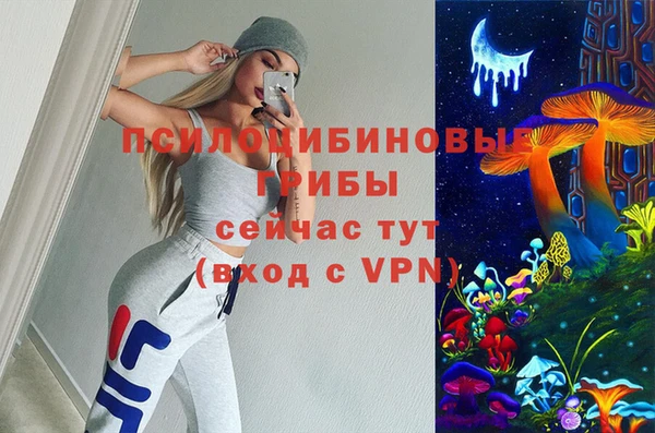 крисы Алексеевка